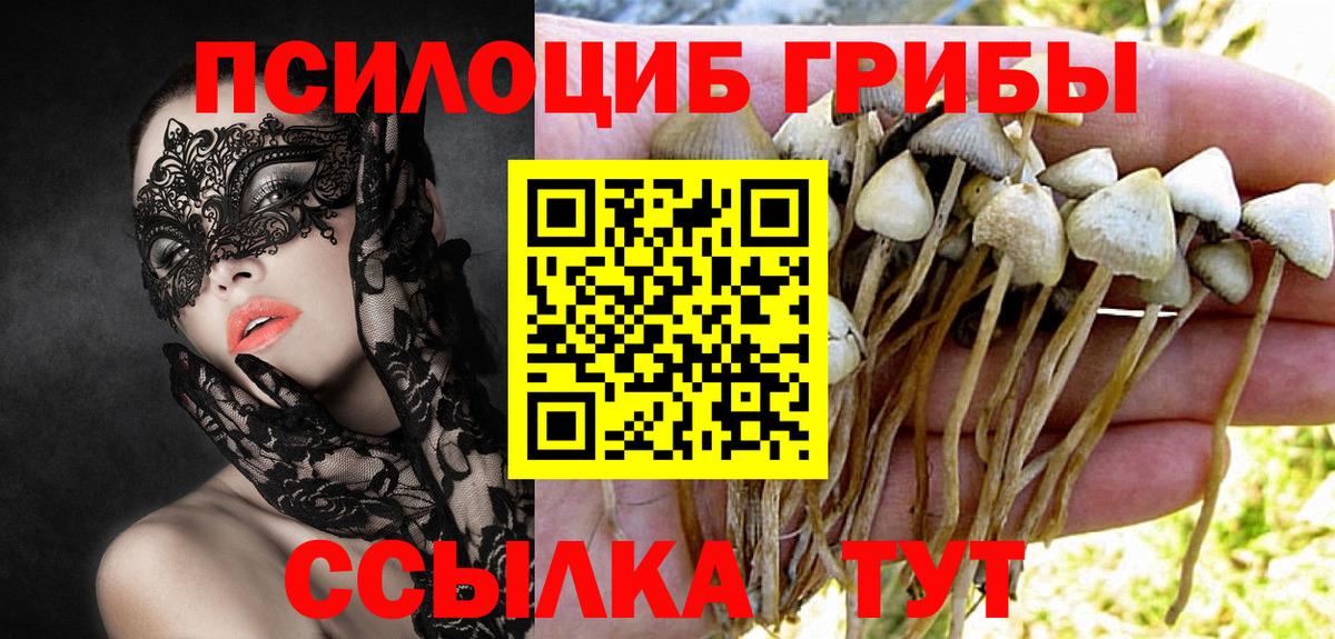 Керчь  Псилоцибиновые грибы Psilocybe  Галлюциногенные грибы GOLDEN TEACHER  Вход с VPN 