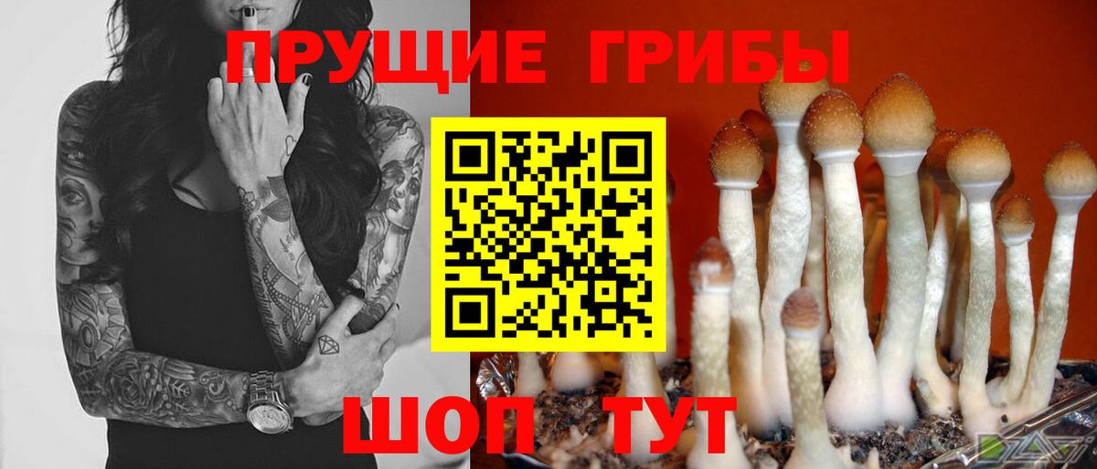 Псилоцибиновые грибы прущие грибы Керчь